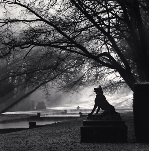 Statue Foggy Dramatic Textured High Contrast Mysterious