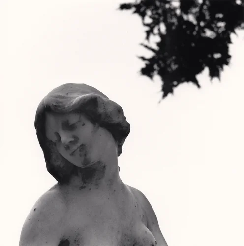 Statue High Contrast Dramatic Textured Mysterious