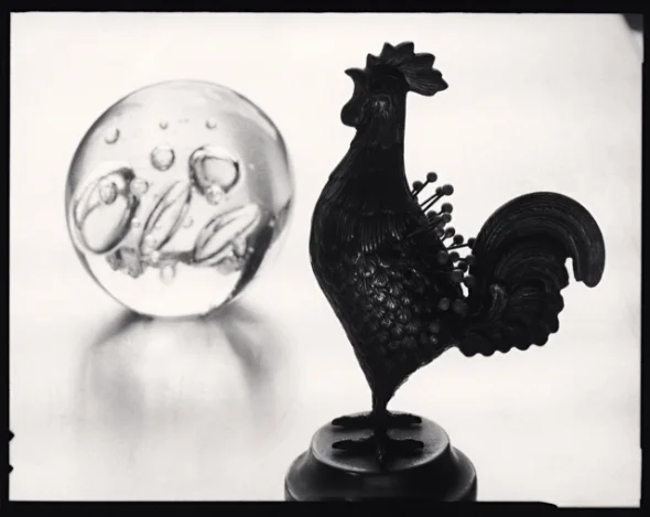 Statue Rooster Glass Sphere Dramatic High Contrast Mysterious