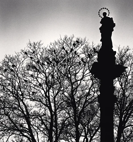 Statue Silhouetted Trees Birds High Contrast Dramatic Atmospheric