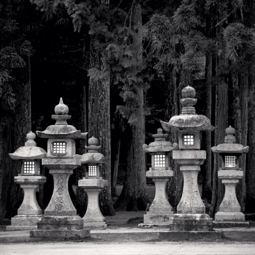 Statue Textured High Contrast Mysterious Forest