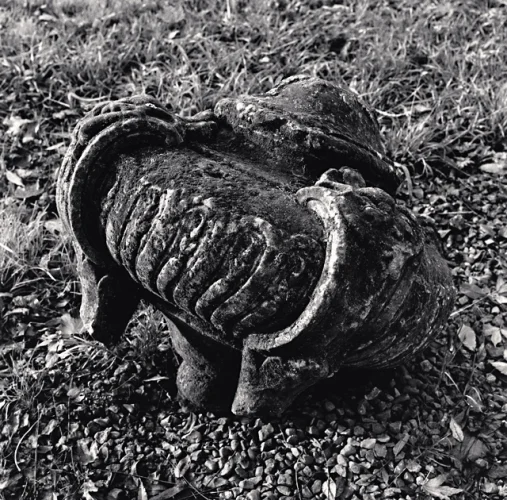 Statue Textured High Contrast Mysterious Atmospheric Timeless