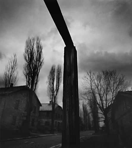 Street High Contrast Dramatic Textured Mysterious