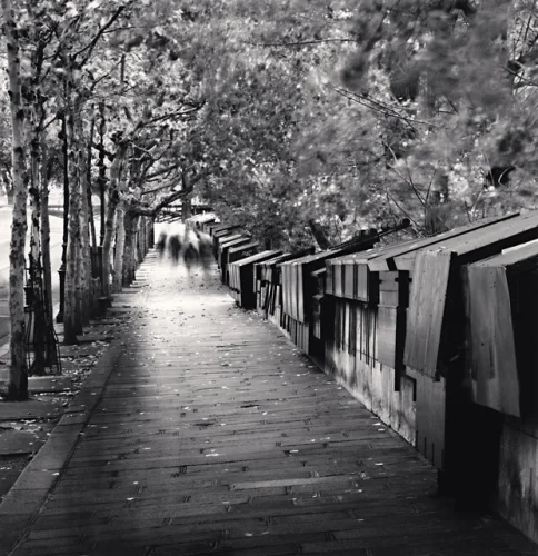 Street Textured High Contrast Moody Atmospheric