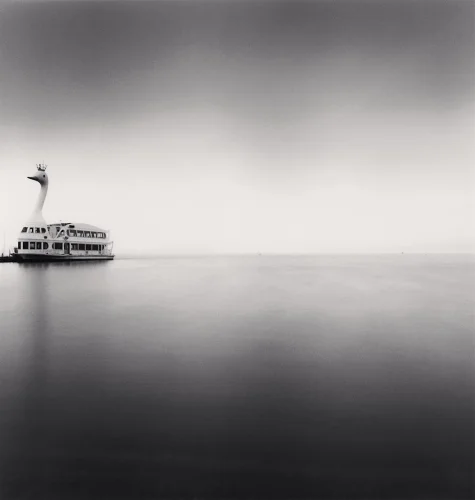 Swan Boat Minimalist High Contrast Serene Mysterious