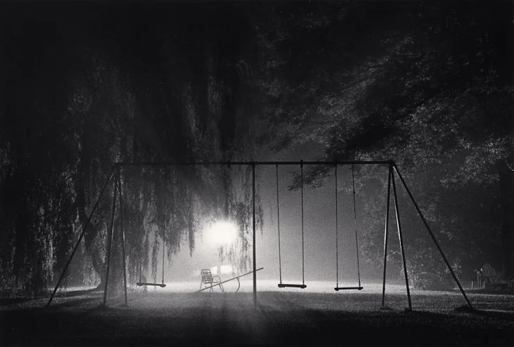 Swings Trees Foggy Dramatic Mysterious Atmospheric