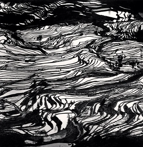 Terraced Fields High Contrast Dramatic Textured Landscape