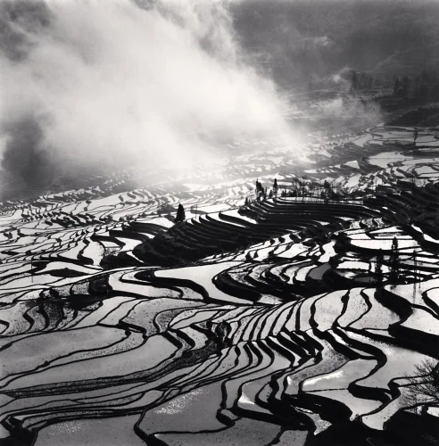 Terraced Fields Misty Dramatic High Contrast Mysterious Landscape