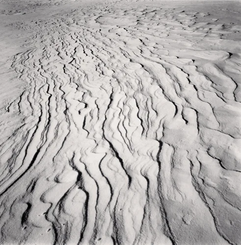 Textured High Contrast Dramatic Atmospheric Nature