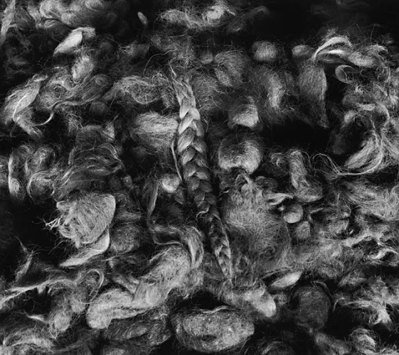 Textured High Contrast Mysterious Nature