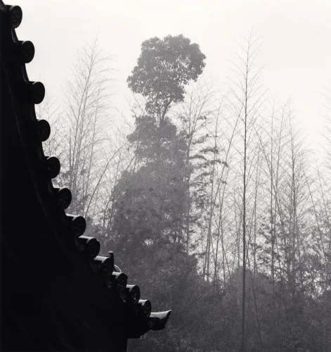 Traditional Architecture Dramatic High Contrast Mysterious Atmospheric Nature