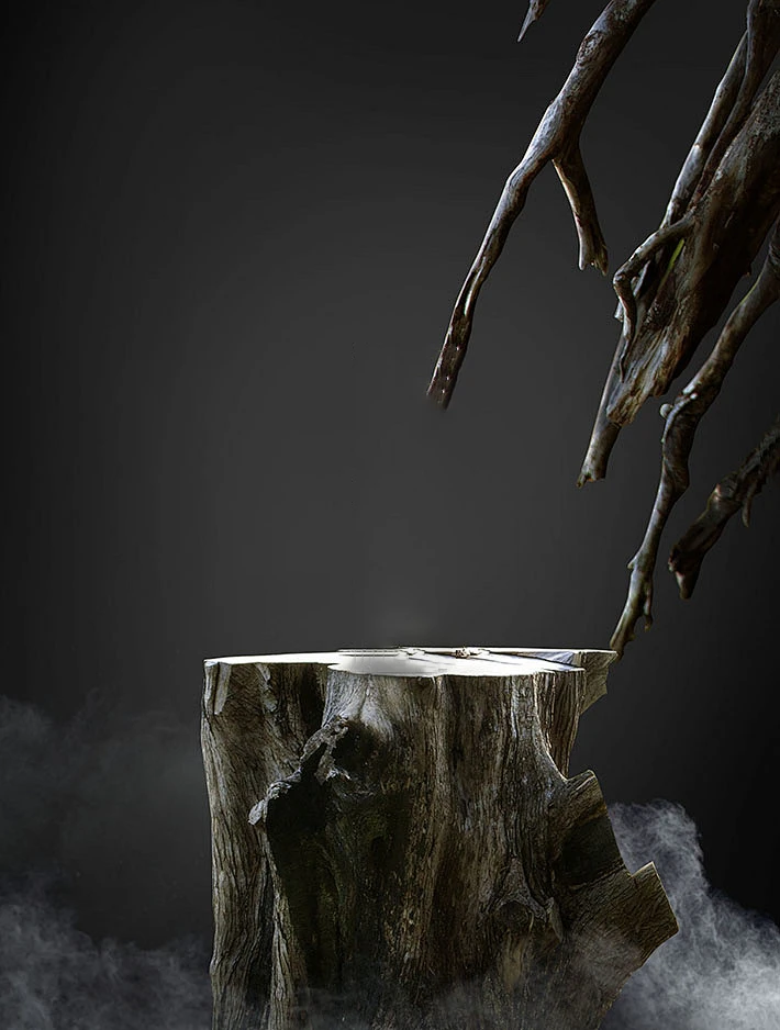 Tree Stump Dark Fog Branches Surreal