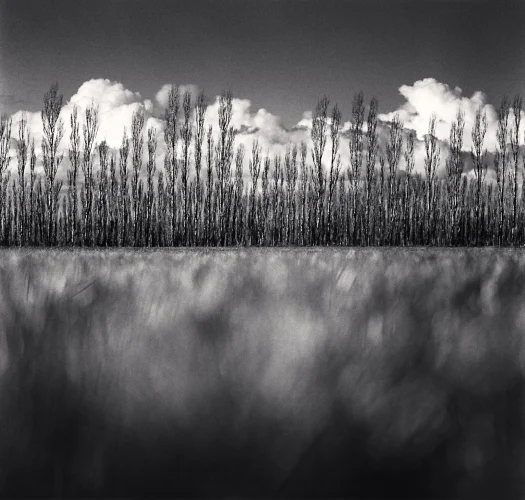 Trees Clouds Sky Minimalist High Contrast Nature