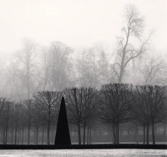 Trees Foggy Dramatic Minimalist High Contrast Mysterious