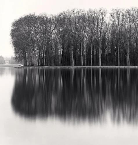 Trees Reflection Water Minimalist High Contrast Nature