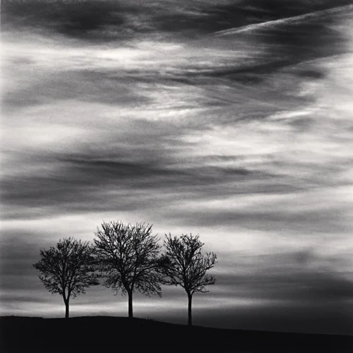 Trees Silhouetted Cloudy Sky Minimalist High Contrast Nature