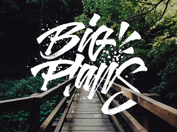 Typography White Green Bridge Nature