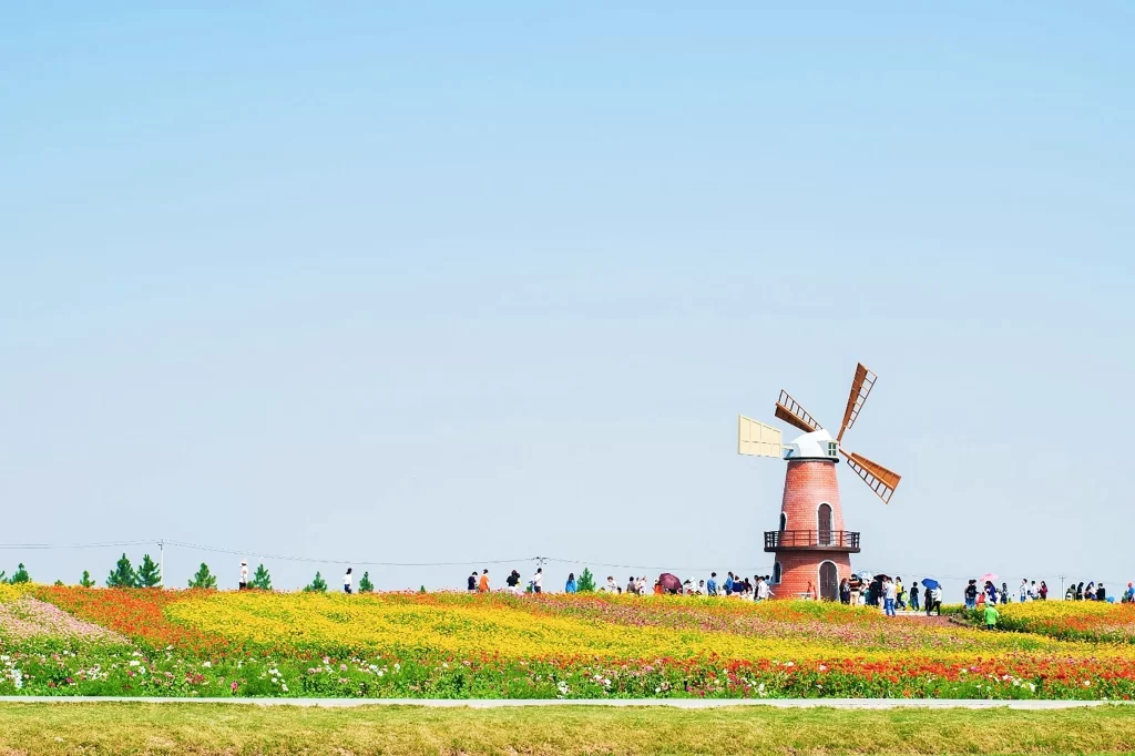 Vibrant Multicolored Blooms Scenic Windmill