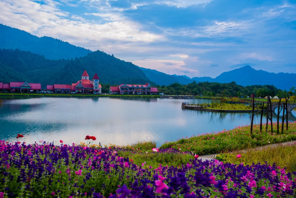 Vibrant Purple Flowers Blooming Scenic Landscape