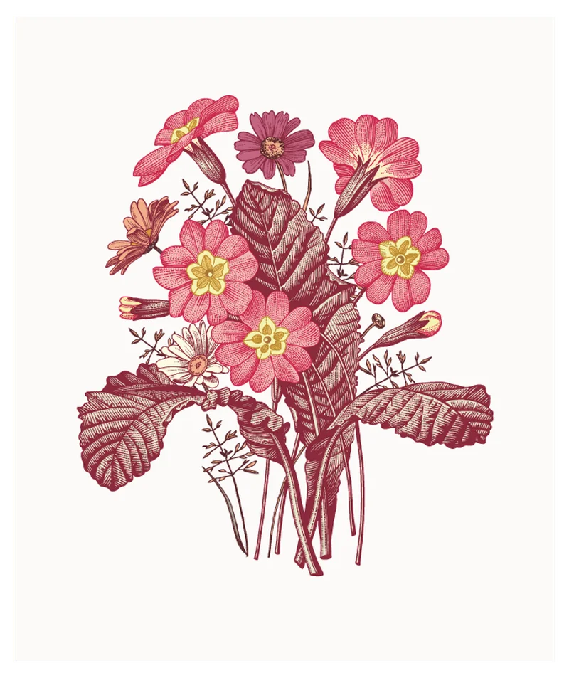 Vintage Botanical Flower Bouquet Pink Red Illustration