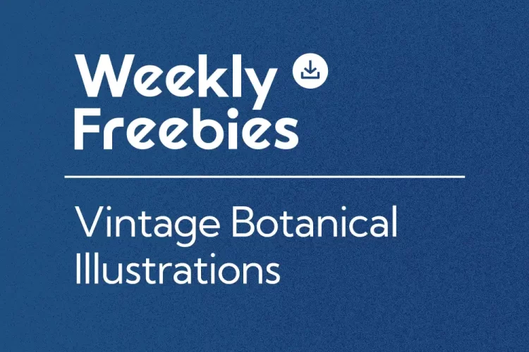 Vintage Botanical Illustrations for Free Download — History, Styles & Design Use