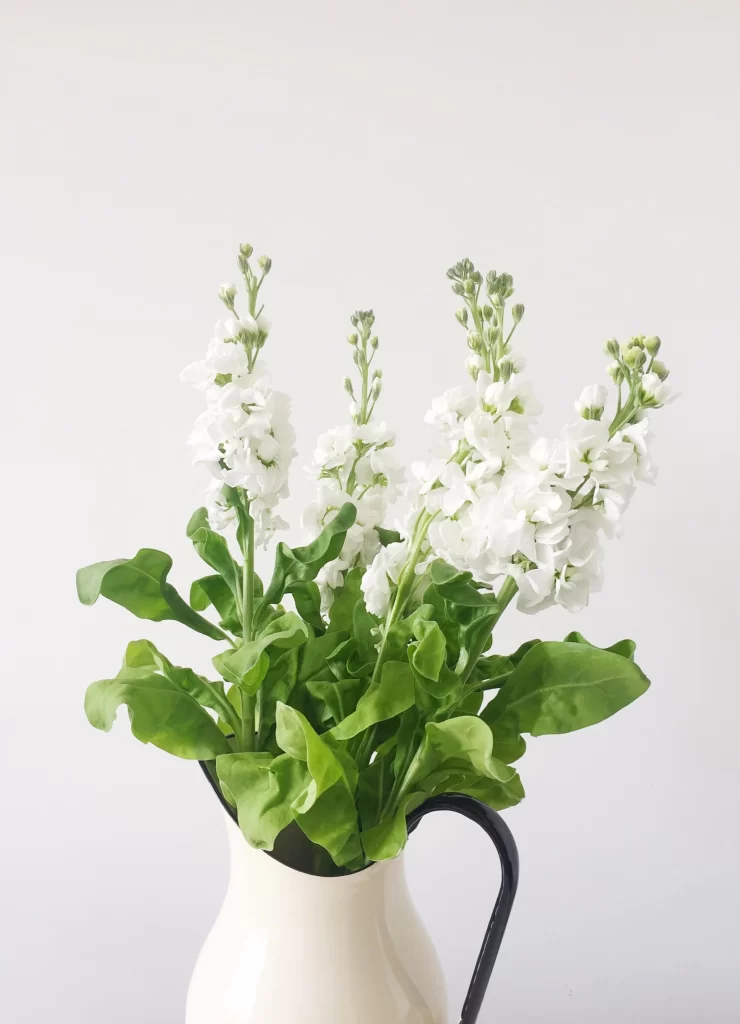 White Blooms Green Leaves Vase