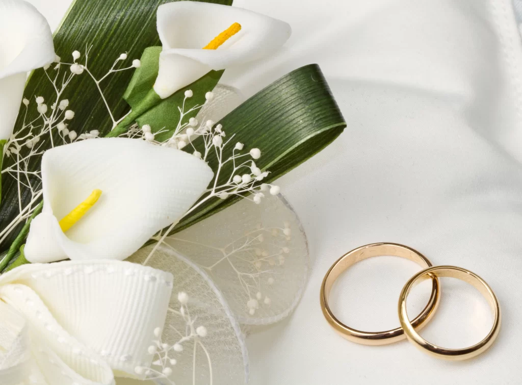 White Calla Lily Petals Yellow Spadix Green gray Leaves
