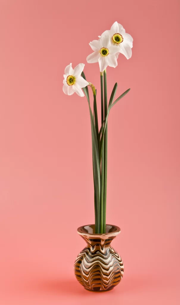 White Daffodil Yellow Center Green Stems Vase