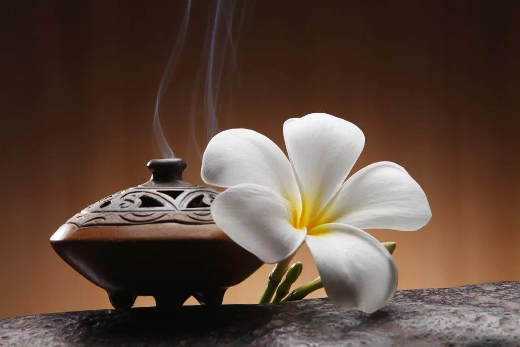 White Plumeria Petals Yellow Center Smoke Incense