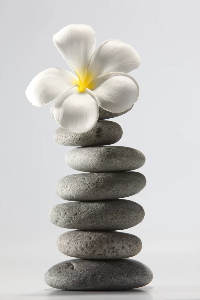 White Plumeria Petals Yellow Center Stone Stack