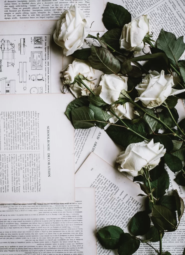 White Rose Petals Leaves Green