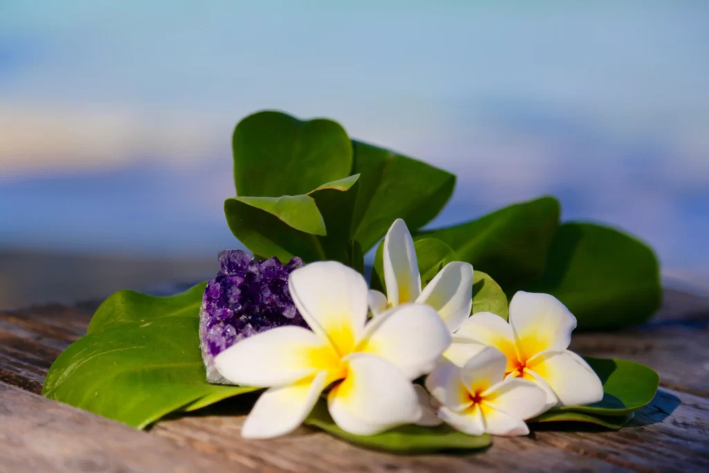 White Yellow Plumeria Petals Green Leaves Purple Crystal