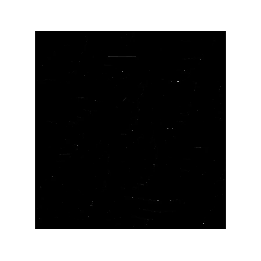 Wings Black Silhouette