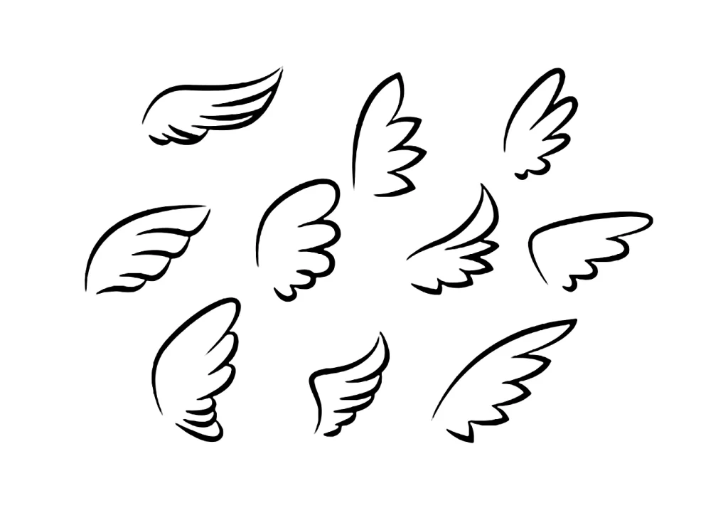 Wings Black White