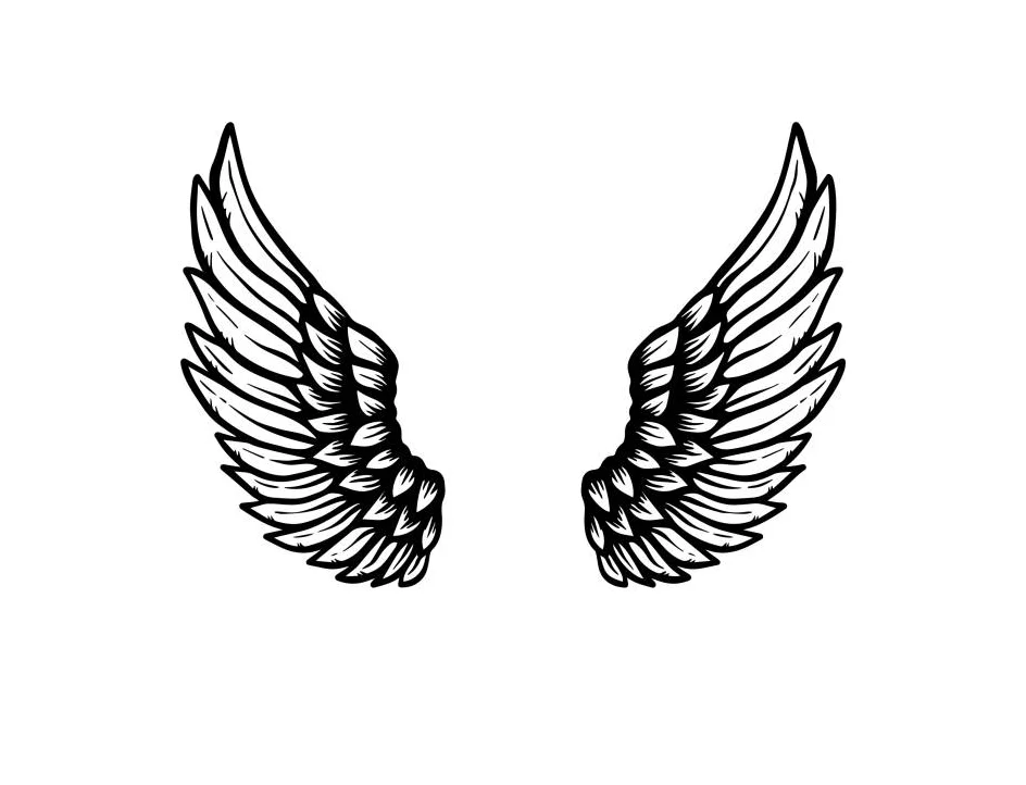 Wings Black White Feathered