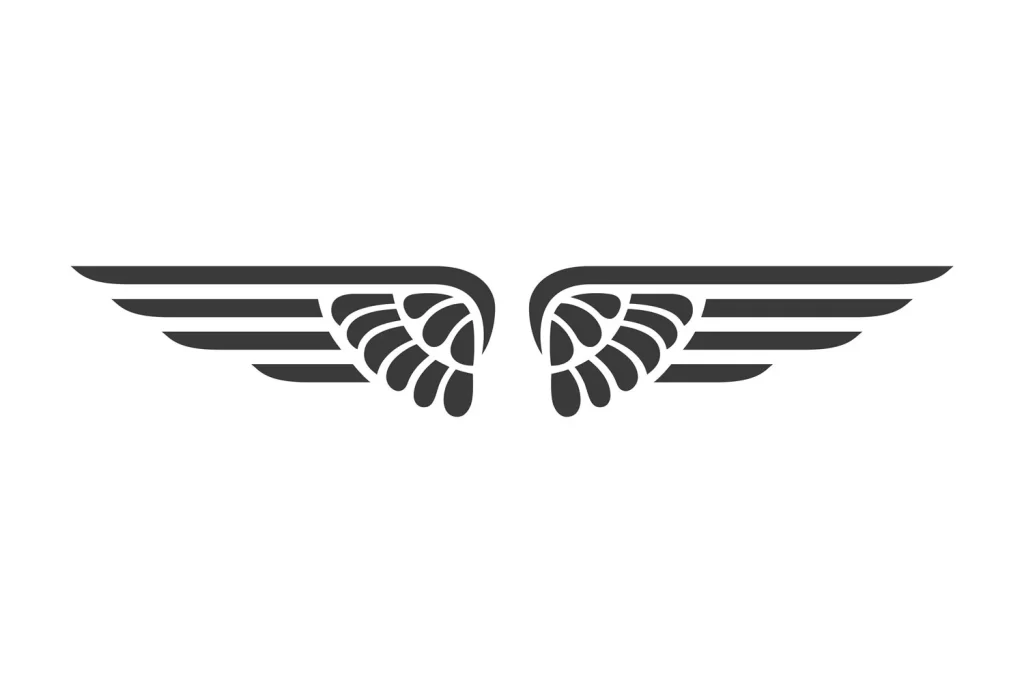 Wings Black White Graphic