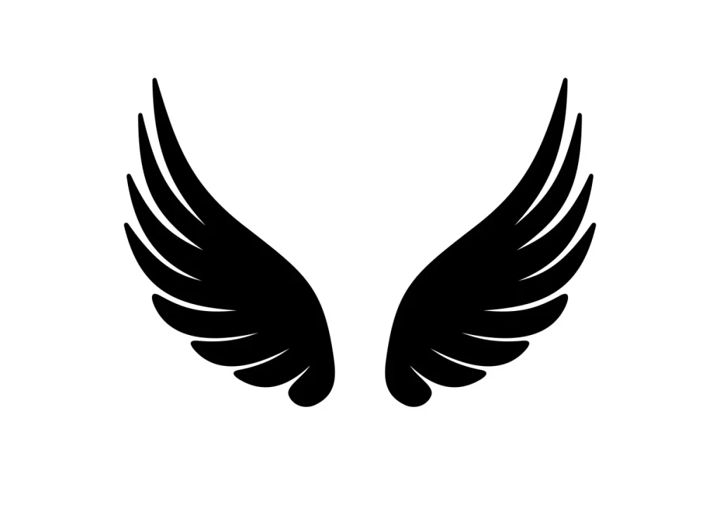 Wings Black White Spread