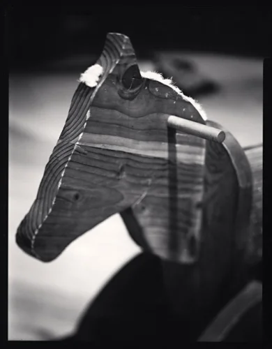 Wooden Horse Textured High Contrast Mysterious