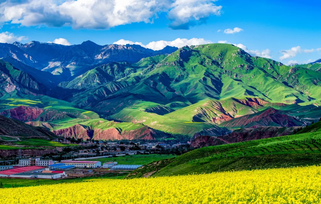 Yellow Blossoms Rolling Hills Vibrant Greenery Majestic Mountains