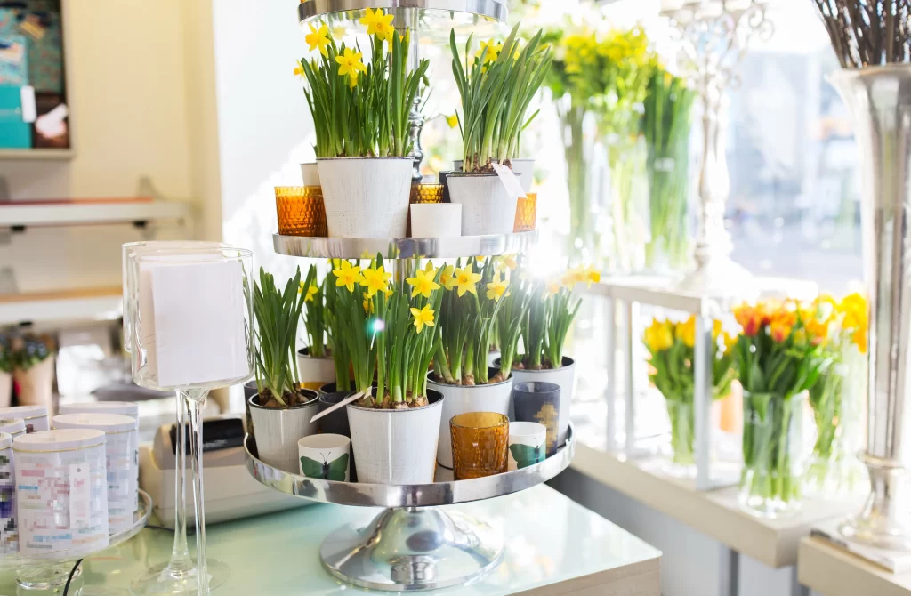 Yellow Daffodil Blooming Green Leaves Vase Display