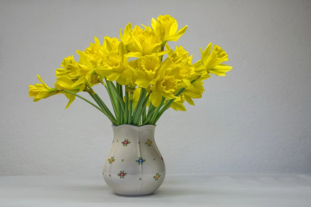 Yellow Daffodil Bright Petals gray Vase