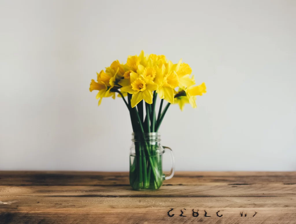 Yellow Daffodil Bright Petals gray Vase