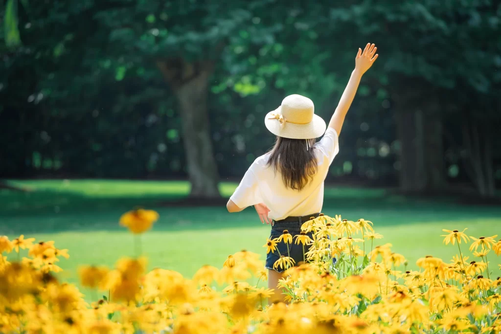 Yellow Daisy Bright Blooming Sunlight
