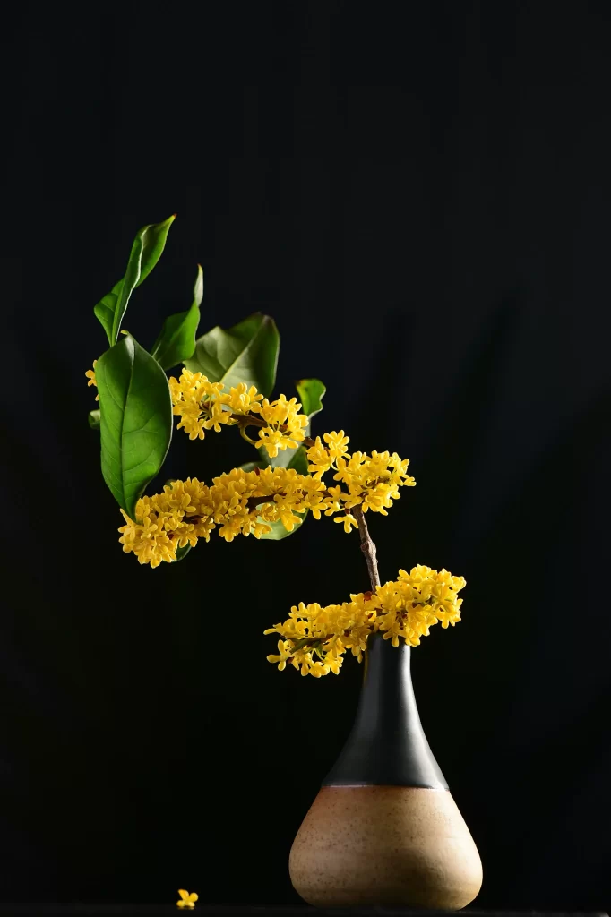 Yellow Osmanthus Blooms Petals Green Leaves Vase