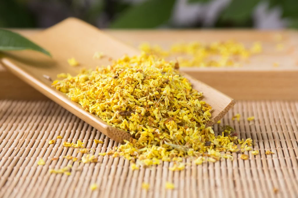 Yellow Osmanthus Tiny Petals Dense Cluster