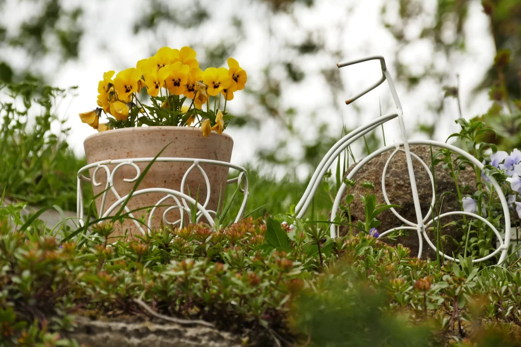 Yellow Pansy Petals Blooming Greenery