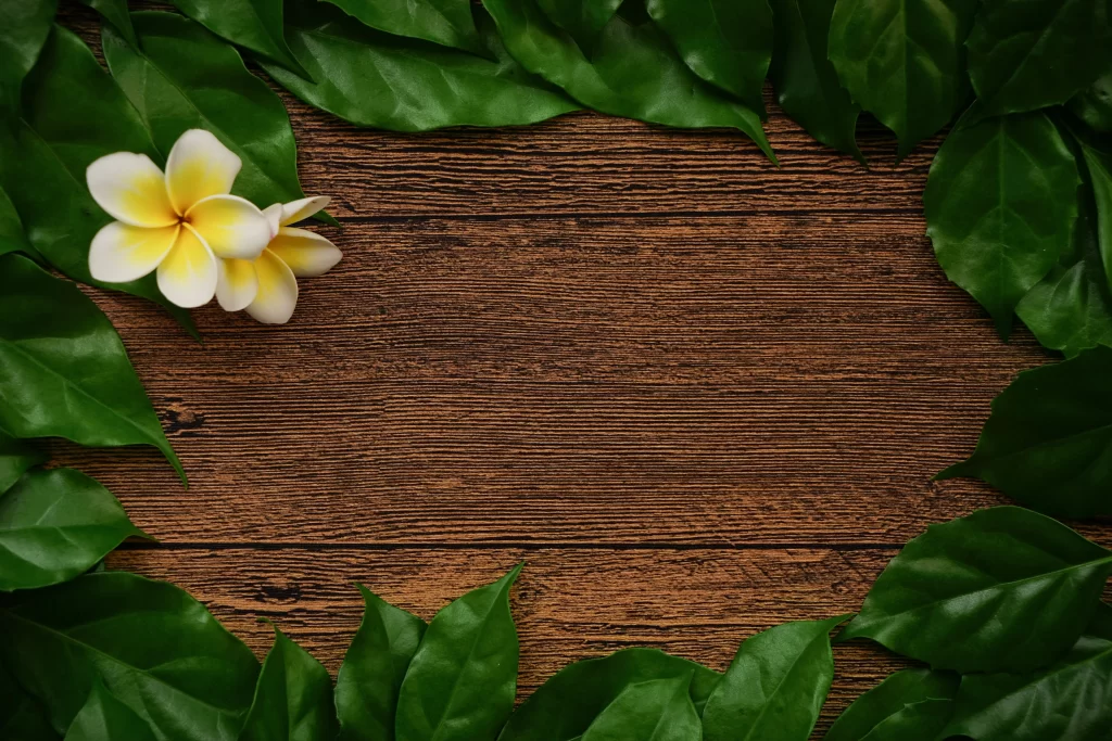 Yellow White Plumeria Petals Leaves Green