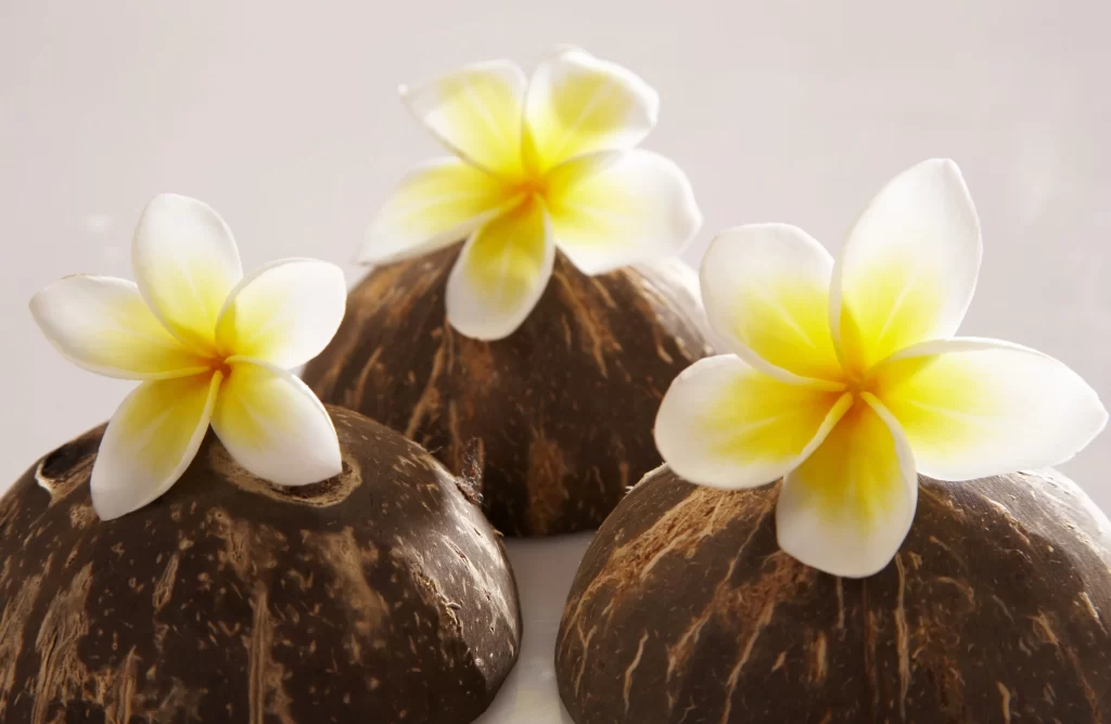 Yellow White Plumeria Petals Coconut