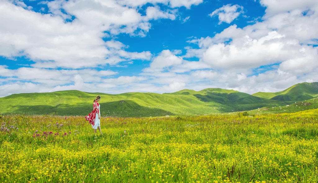 Yellow Wildflower Meadow Green Hills Blue Sky