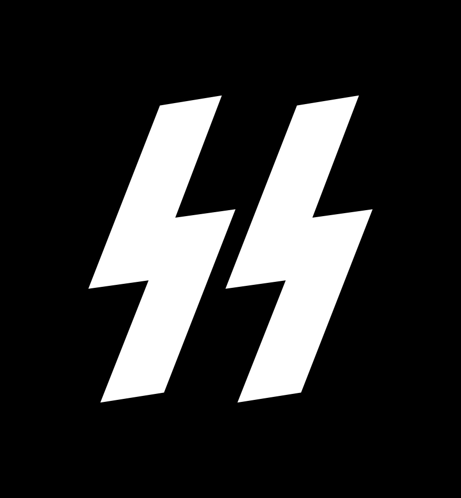 Sig Runes No Background Logo